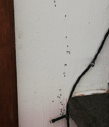 凯歌别墅酒店主图