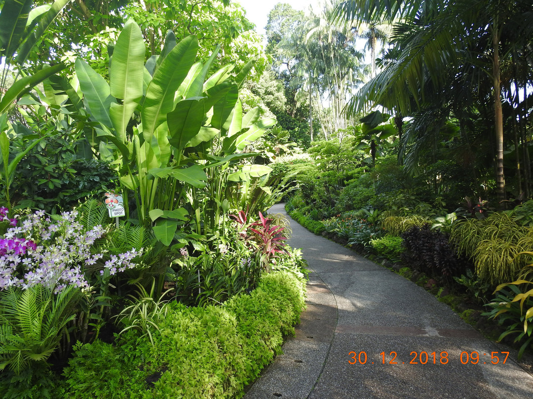 National Orchid Garden景点图片