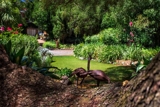 Oppie Koppie B&B主图