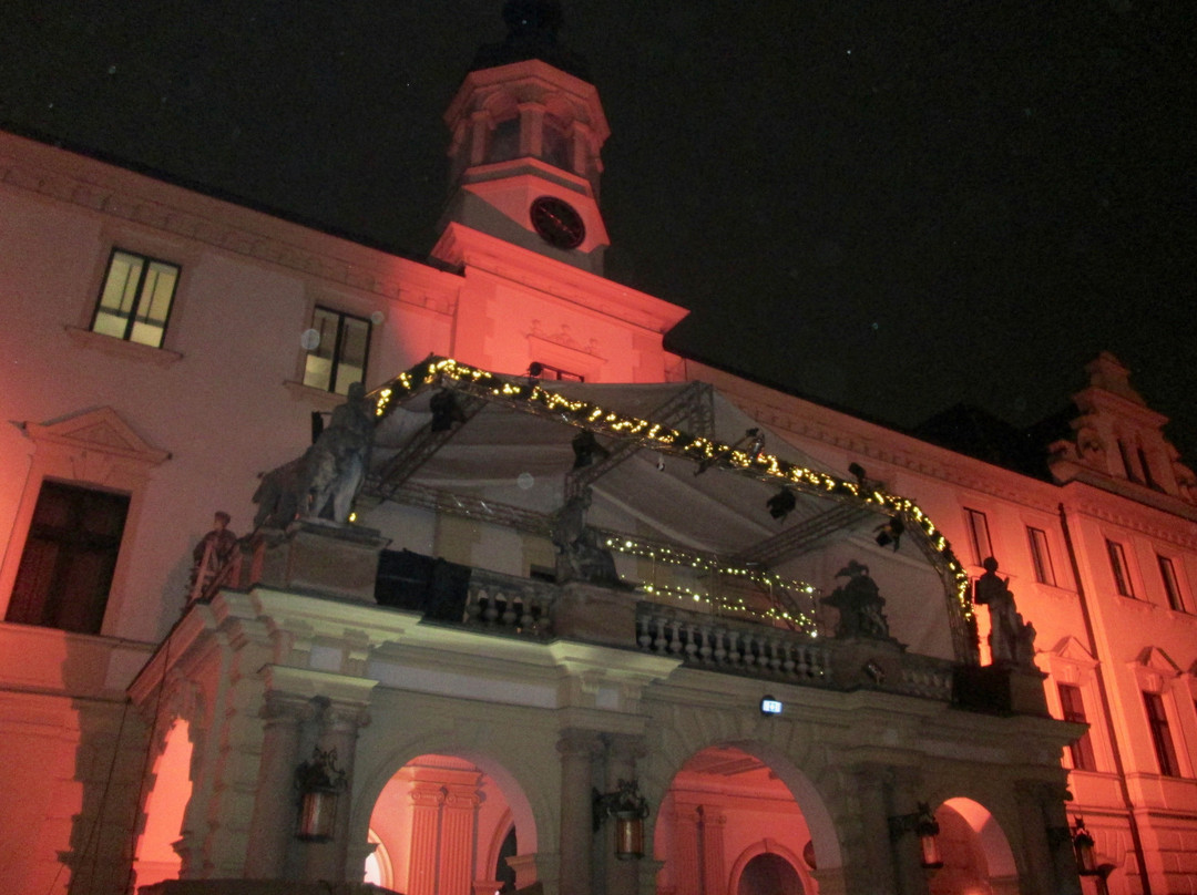 Thurn und Taxis Palace景点图片