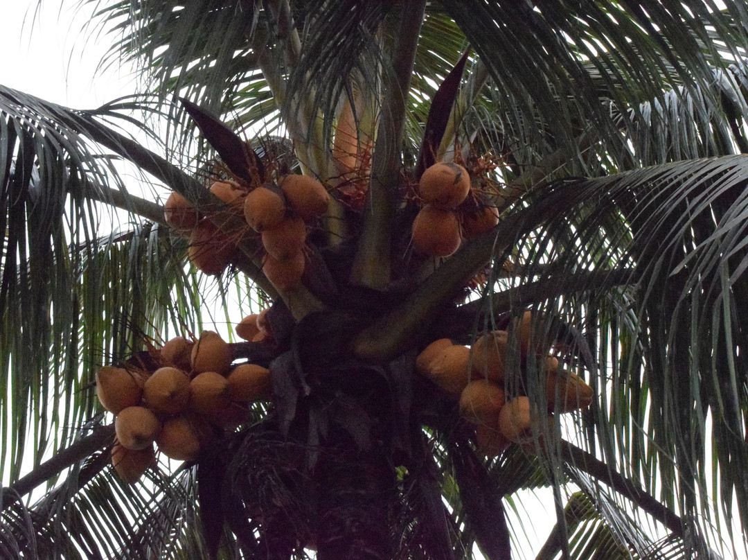 米娅别墅酒店主图