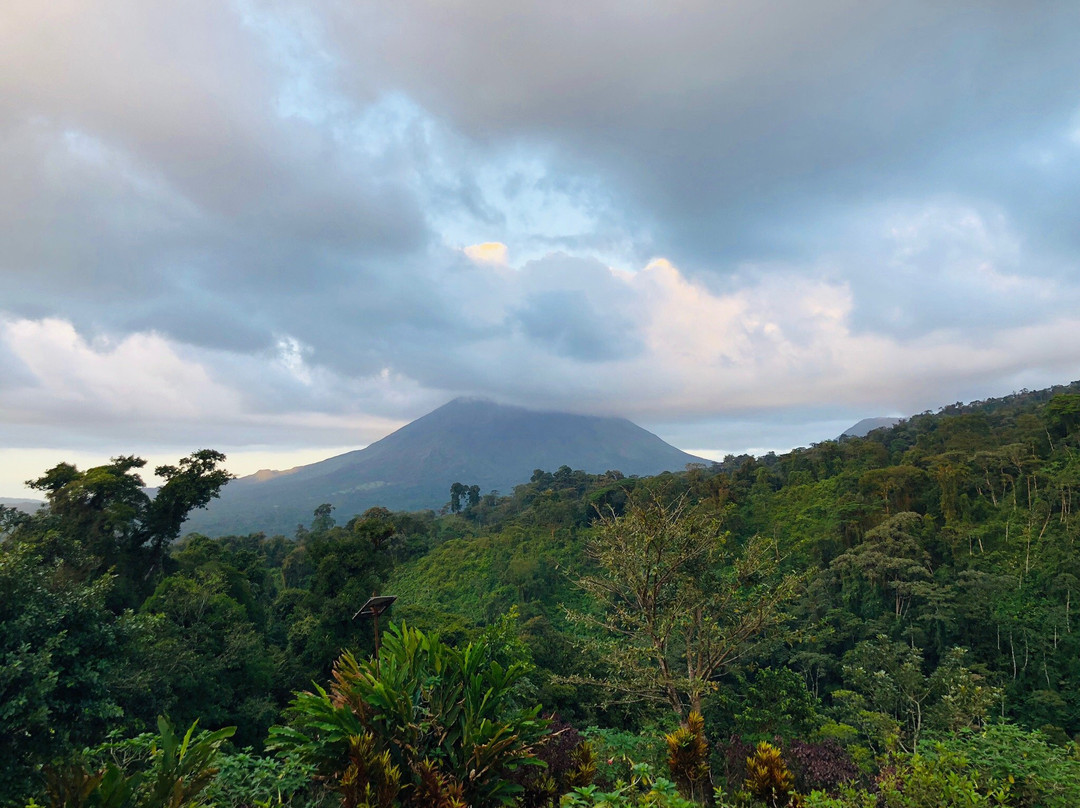 Birdsong Villa主图