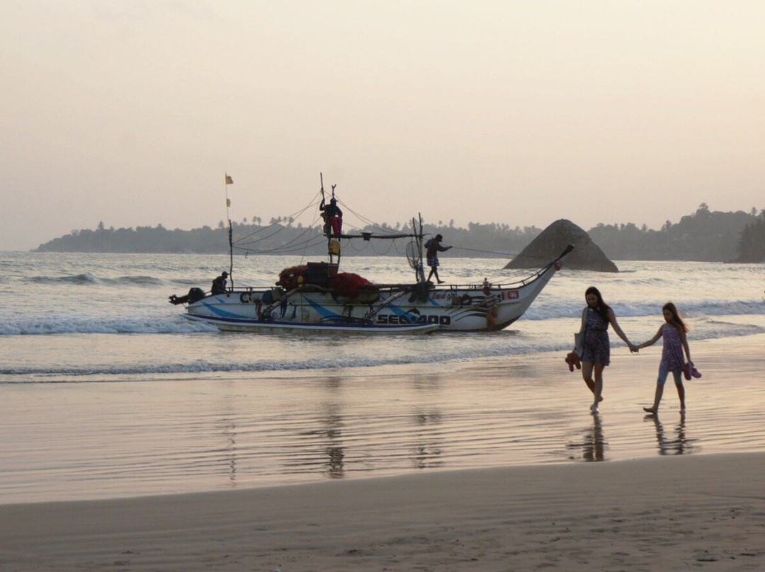 Sundance Surf Camp主图