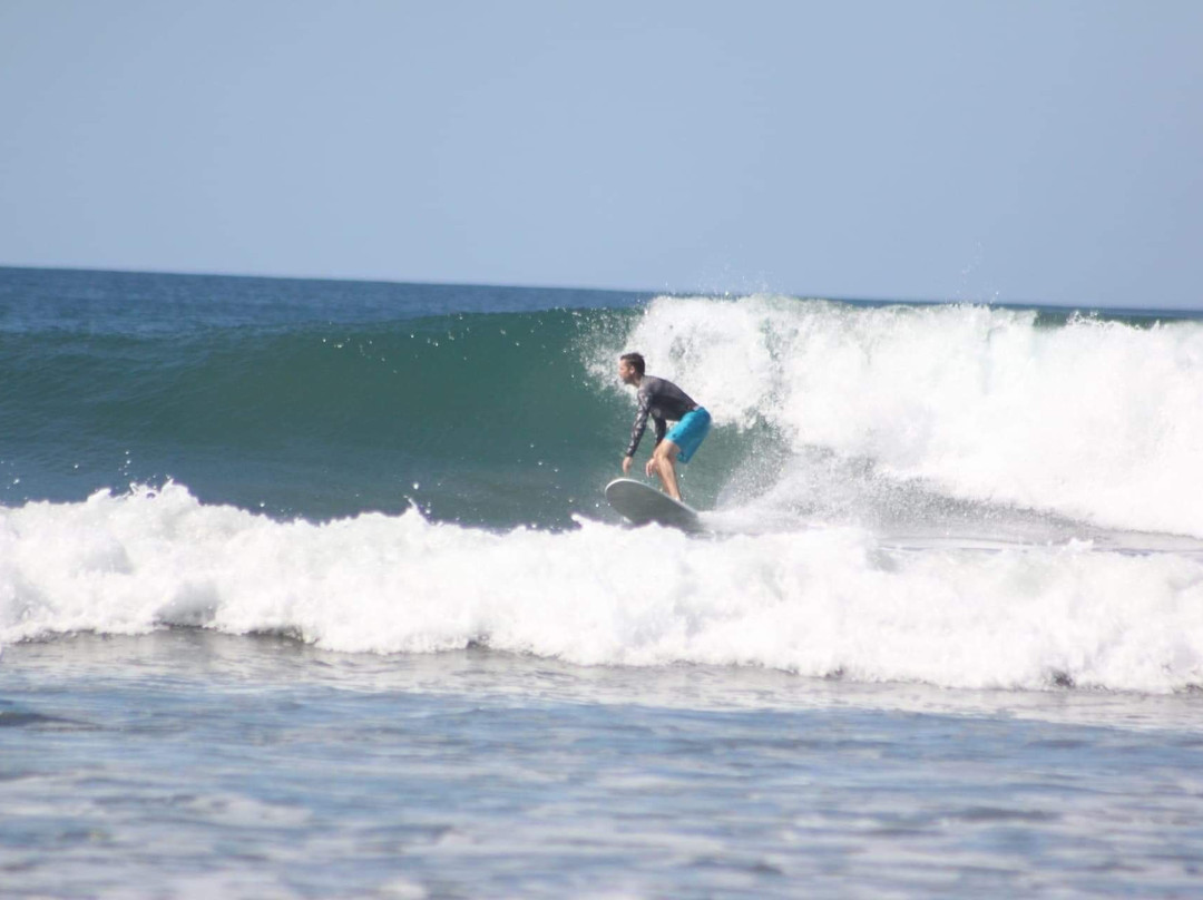 Nosara Tico Surf School景点图片