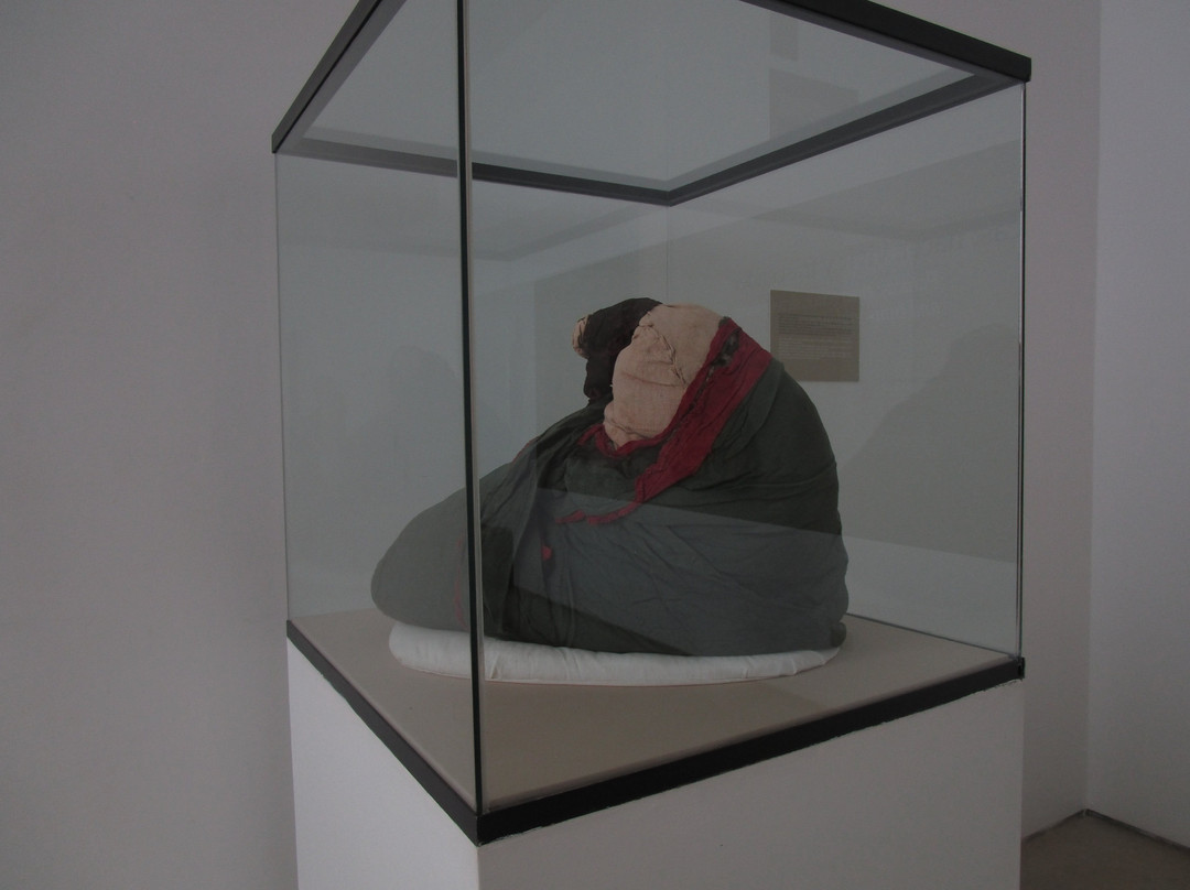 Museo De Sitio Julio C Tello De Paracas-帕拉卡斯必去景点