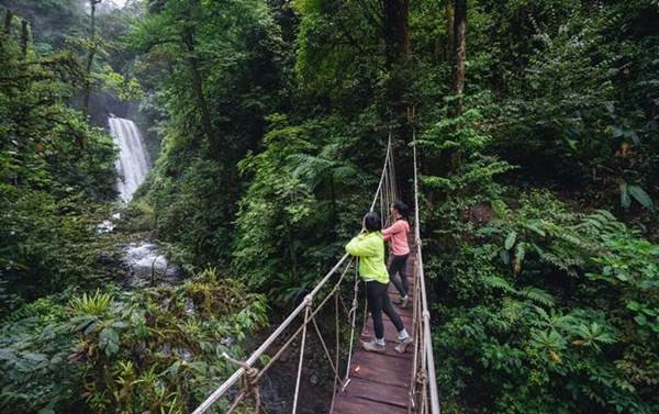 Monteverde Tours CR景点图片