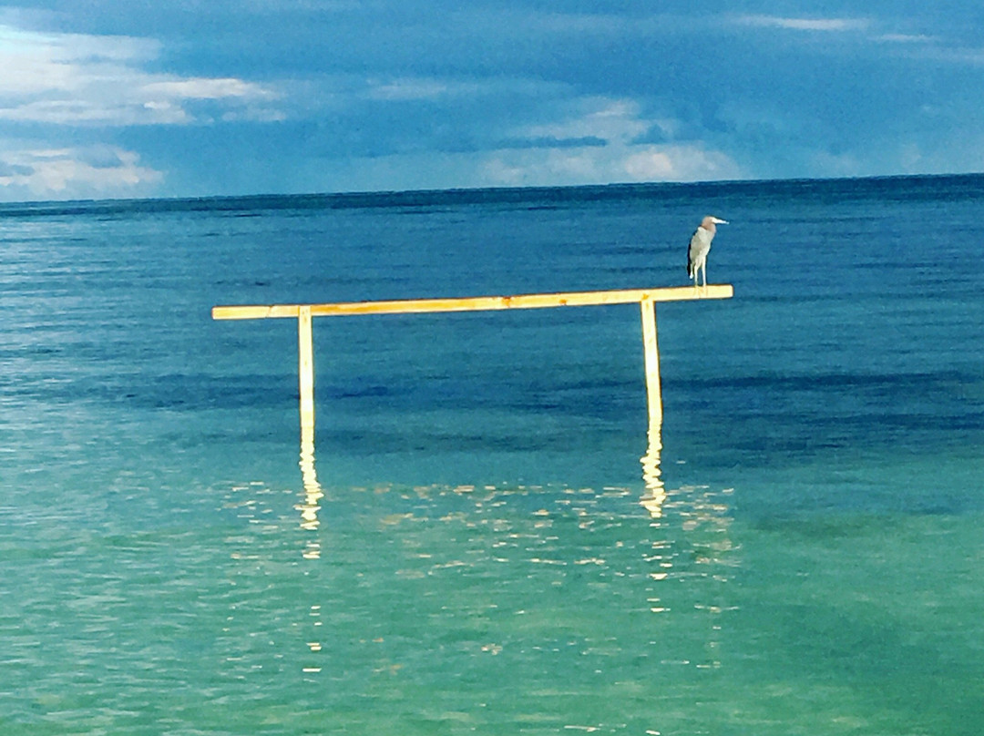 Cayo Arena Beach  Eco-Friendly (Adults Only)主图