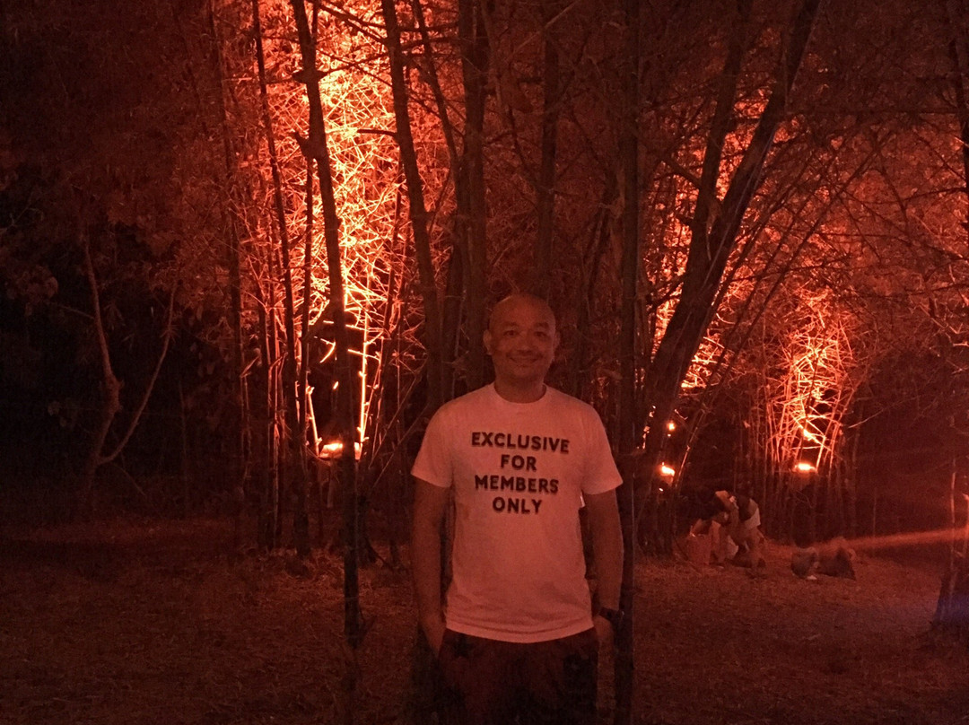 Bambusetum Park-Ligao必去景点