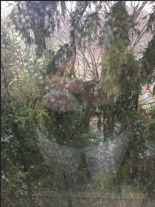 Tarrytown House Estate主图