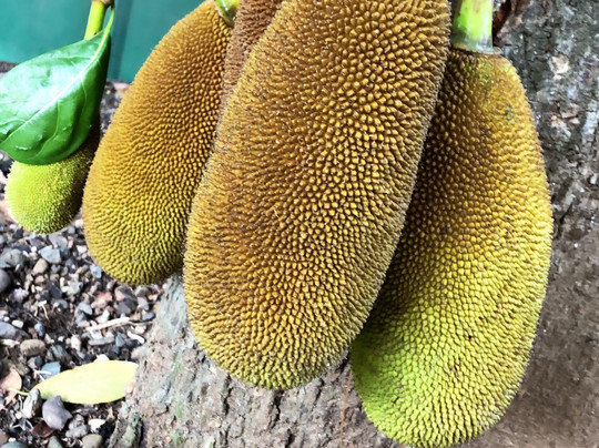 Uyang Bed and Breakfast主图