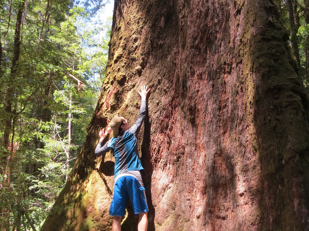 Styx Valley-Maydena必去景点