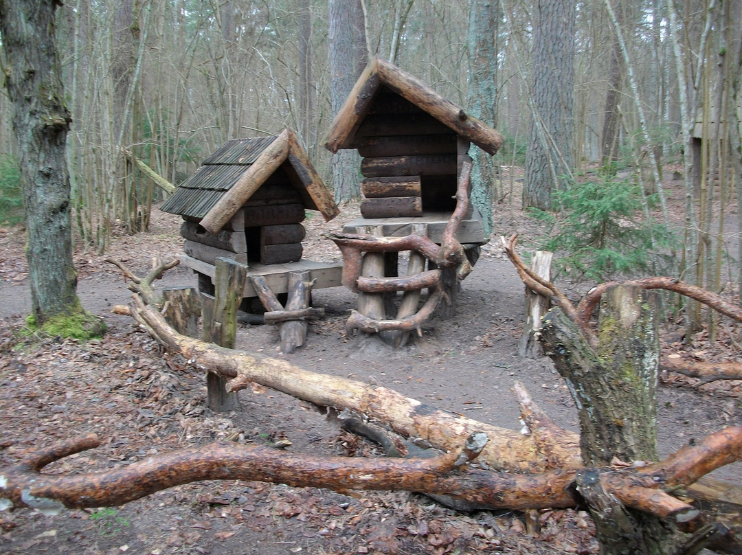 Nature Park in Tervete景点图片