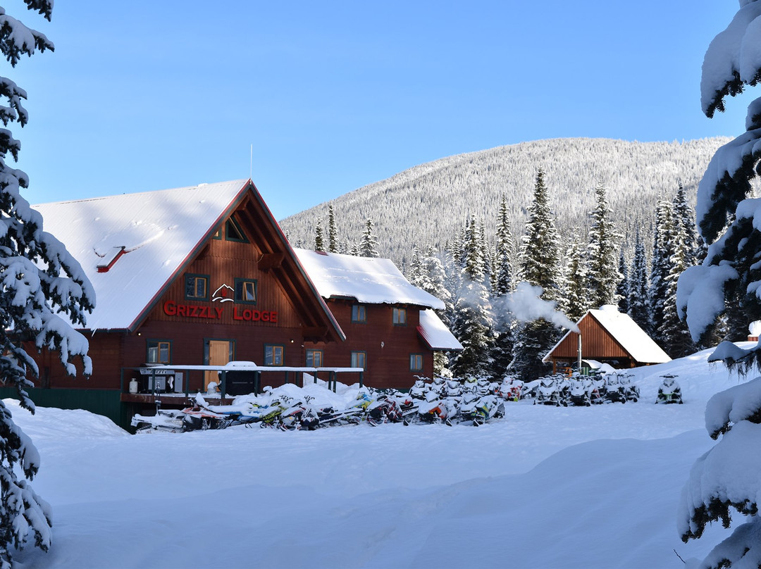 Grizzly Lodge