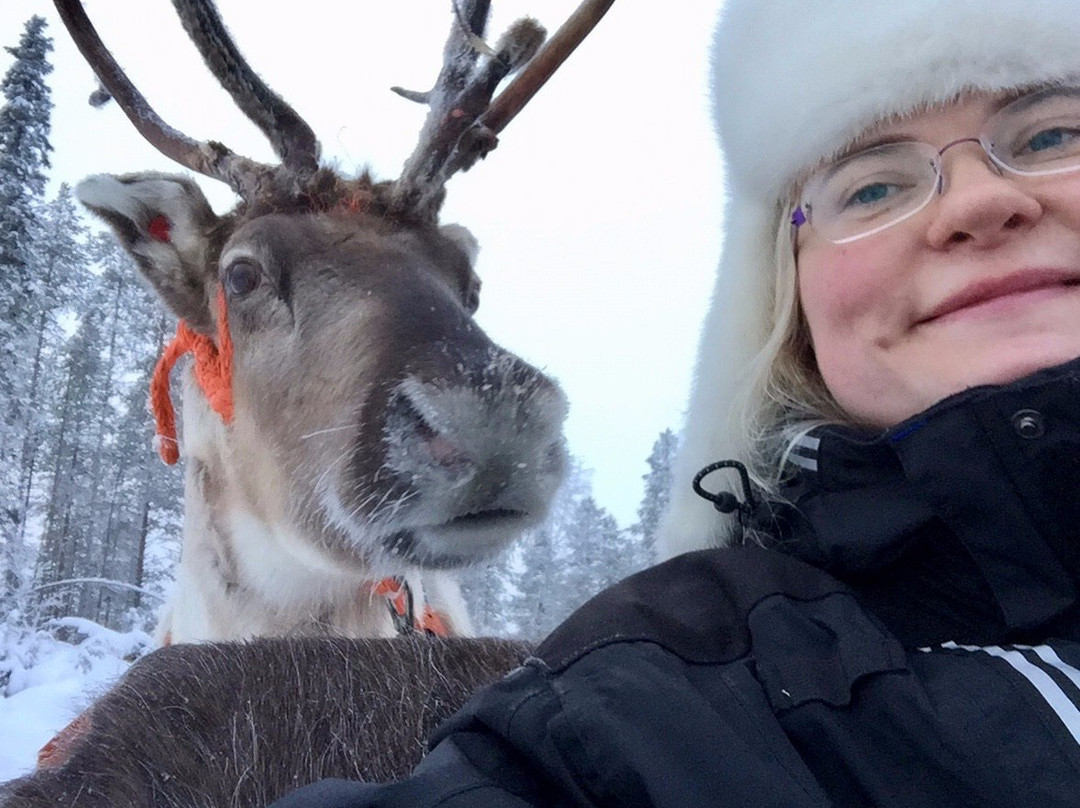 Kujala Reindeer Farm景点图片