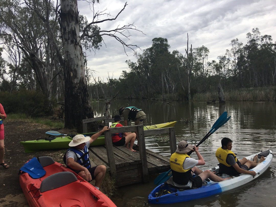 Cohuna Garden Supplies - Canoe Hire-Cohuna必去景点