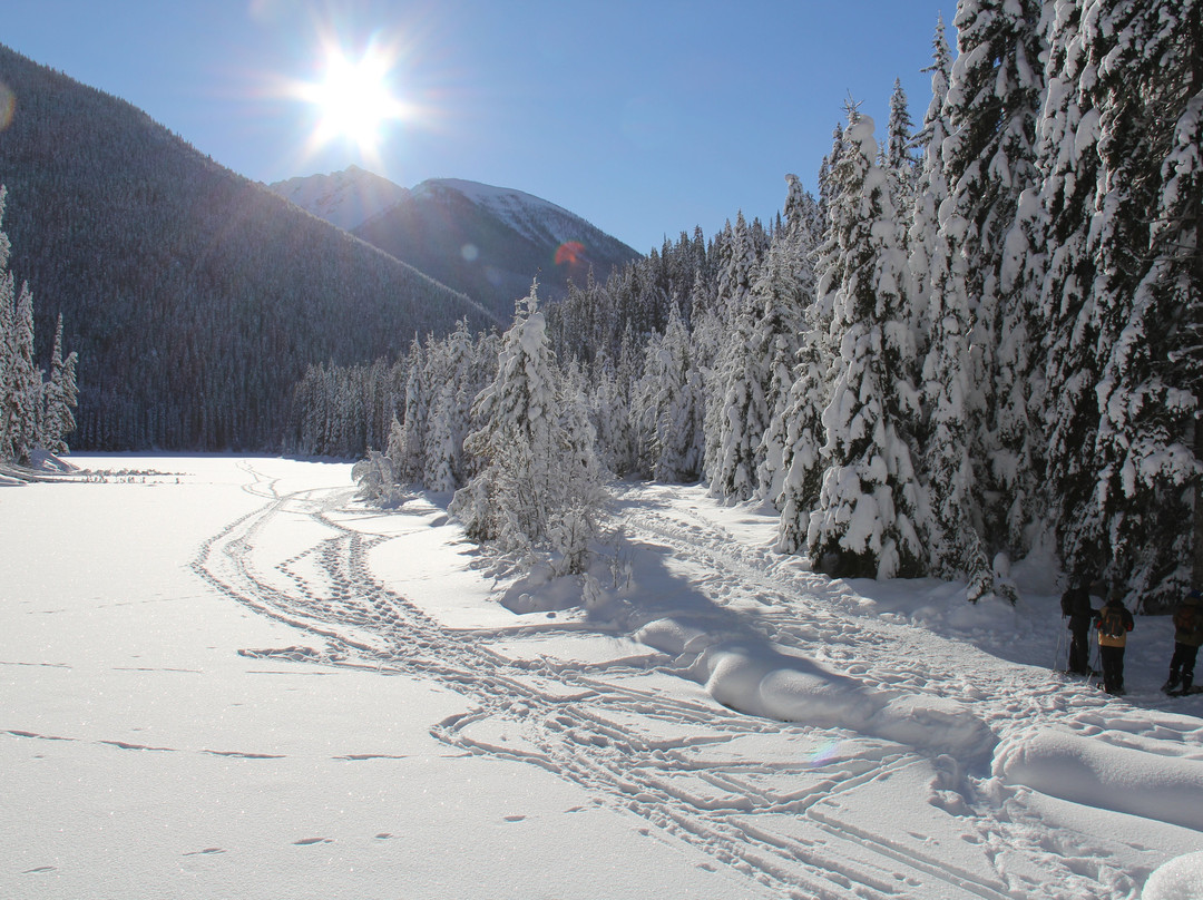 E.C Manning Provincial Park-曼宁公园必去景点