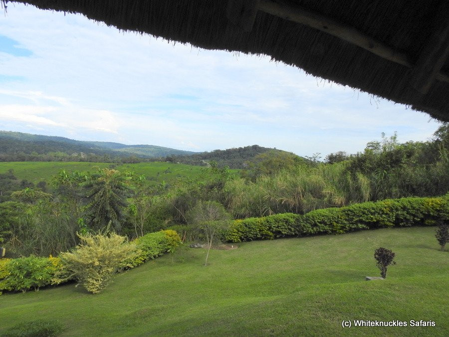 Chimpanzee Forest Lodge.主图