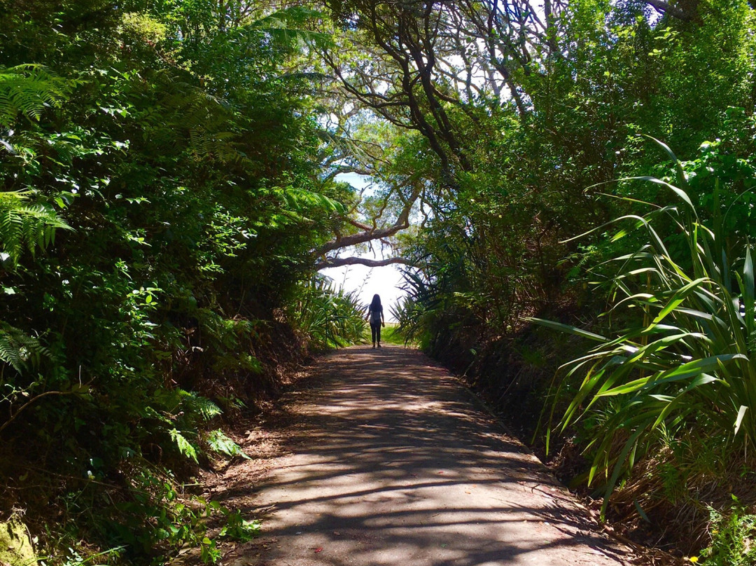 Awhitu Regional Park景点图片