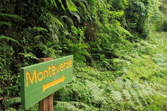 Monteverde Wildlife  Tour-圣埃伦娜必去景点