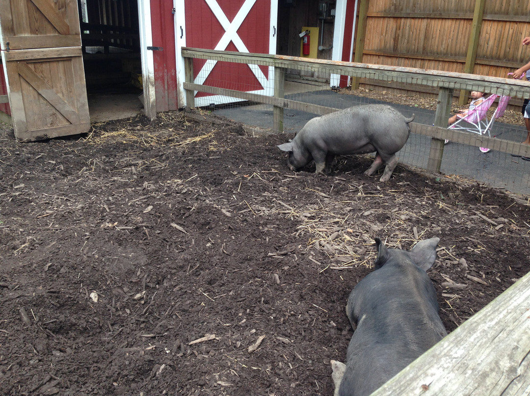 Lords Park-埃尔金必去景点