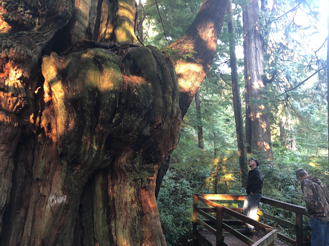 Cedar Wetlands Preserve-Rockaway Beach必去景点