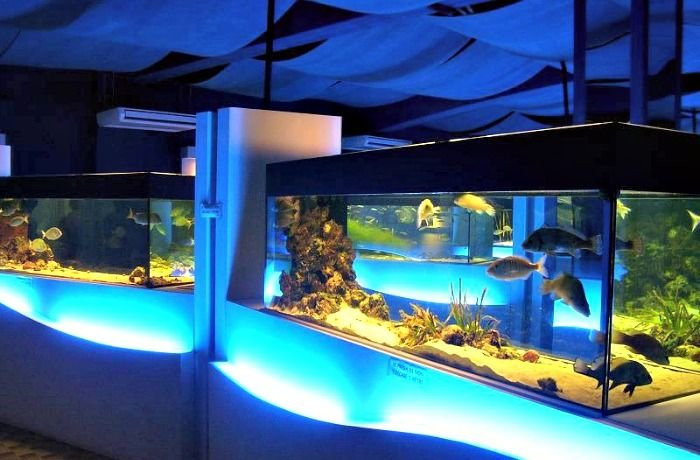 Acquario Mediterraneo dell'Argentario景点图片