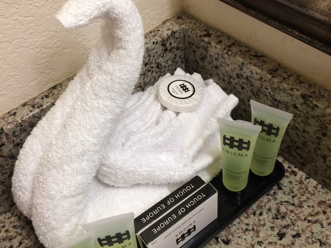 卡索假日酒店和套房主图