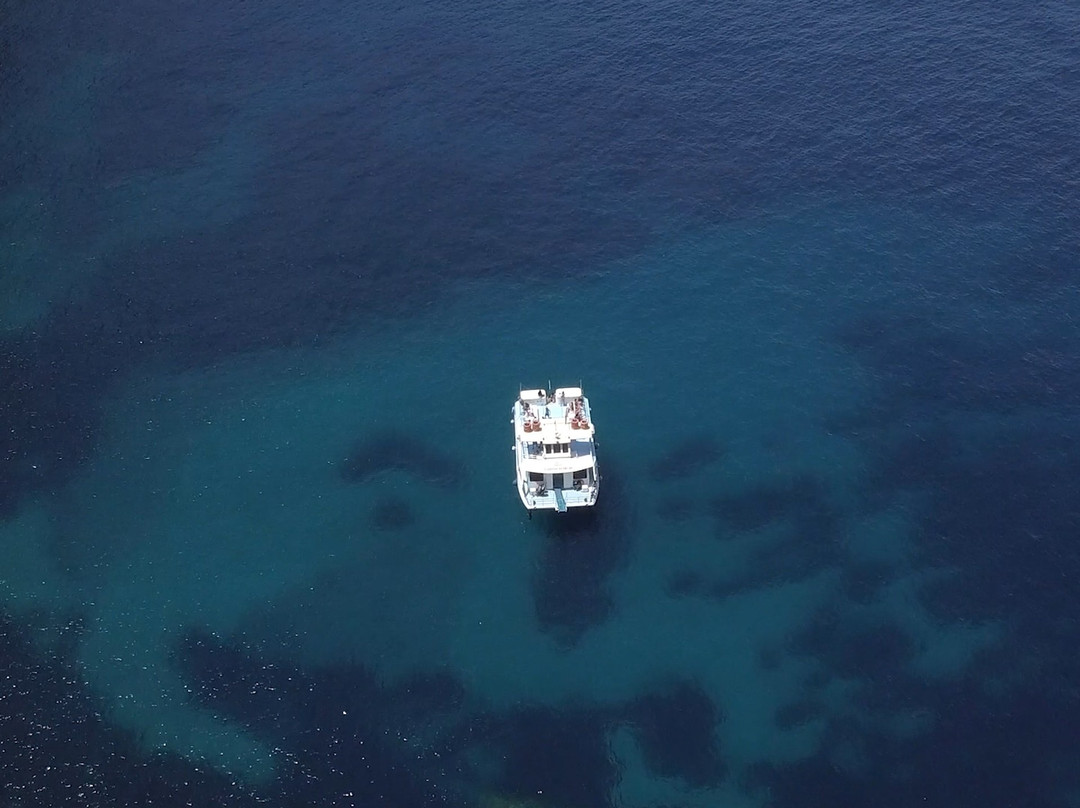 Ibiza Boat Cruises景点图片