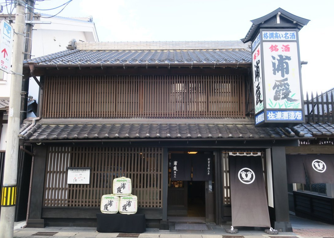 Urakasumijyozomotosaura-盐灶市必去景点
