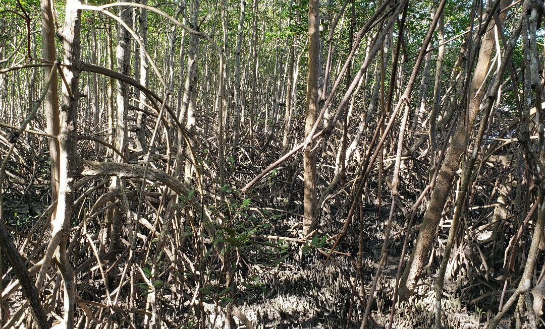 Ilha do Desejo Beach-Una必去景点