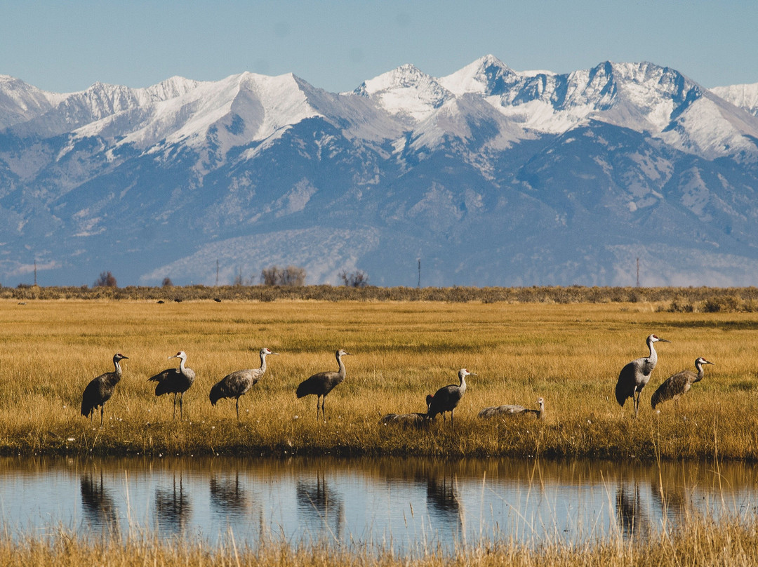 Monte Vista National Wildlife Refuge-Monte Vista必去景点