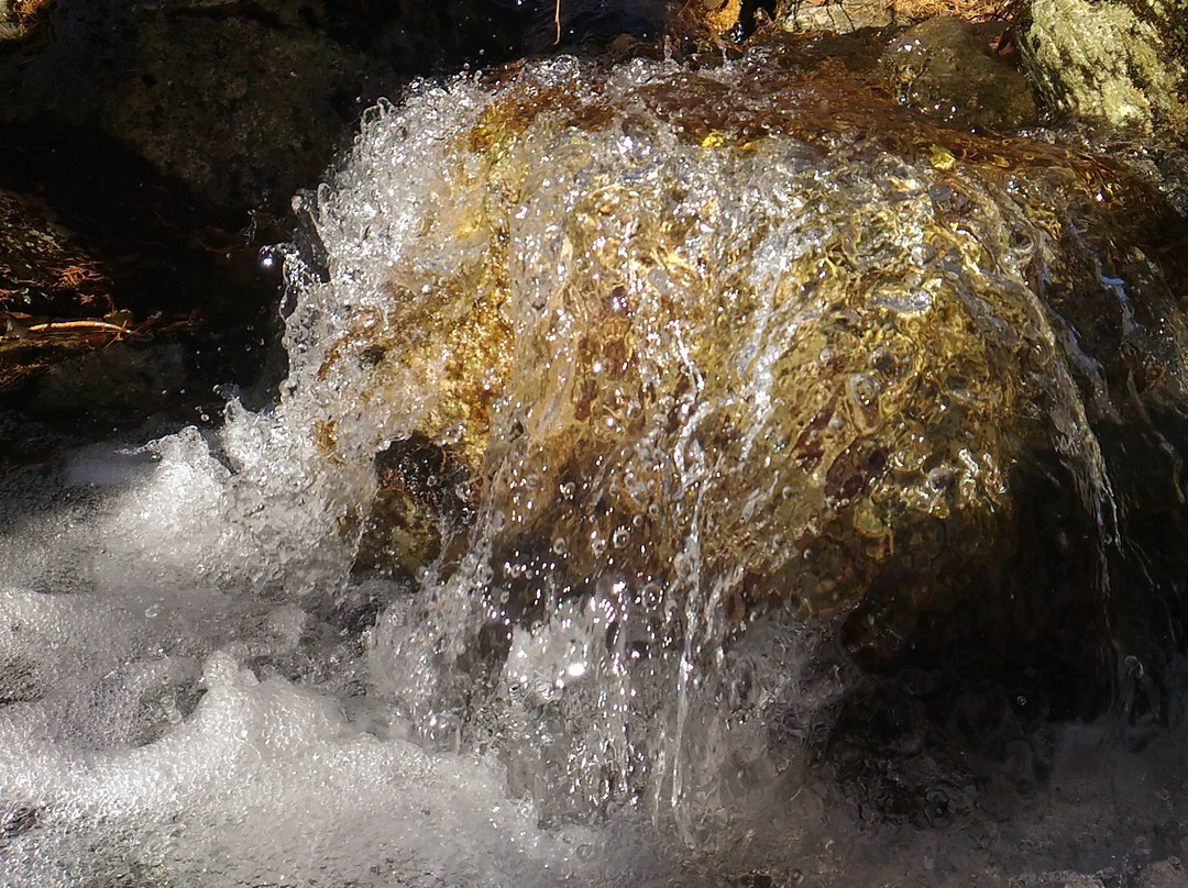 National Park Alkhanai-赤塔必去景点