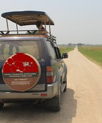 非洲吉佳利图片