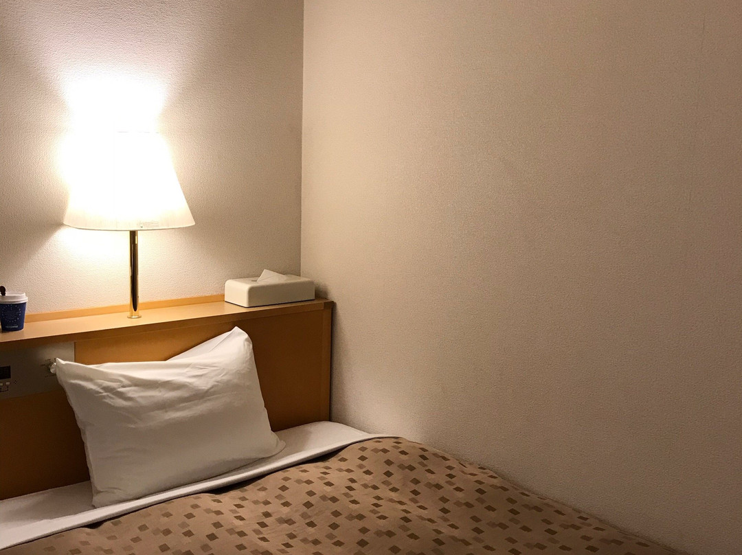 Sanco Inn Toyota主图