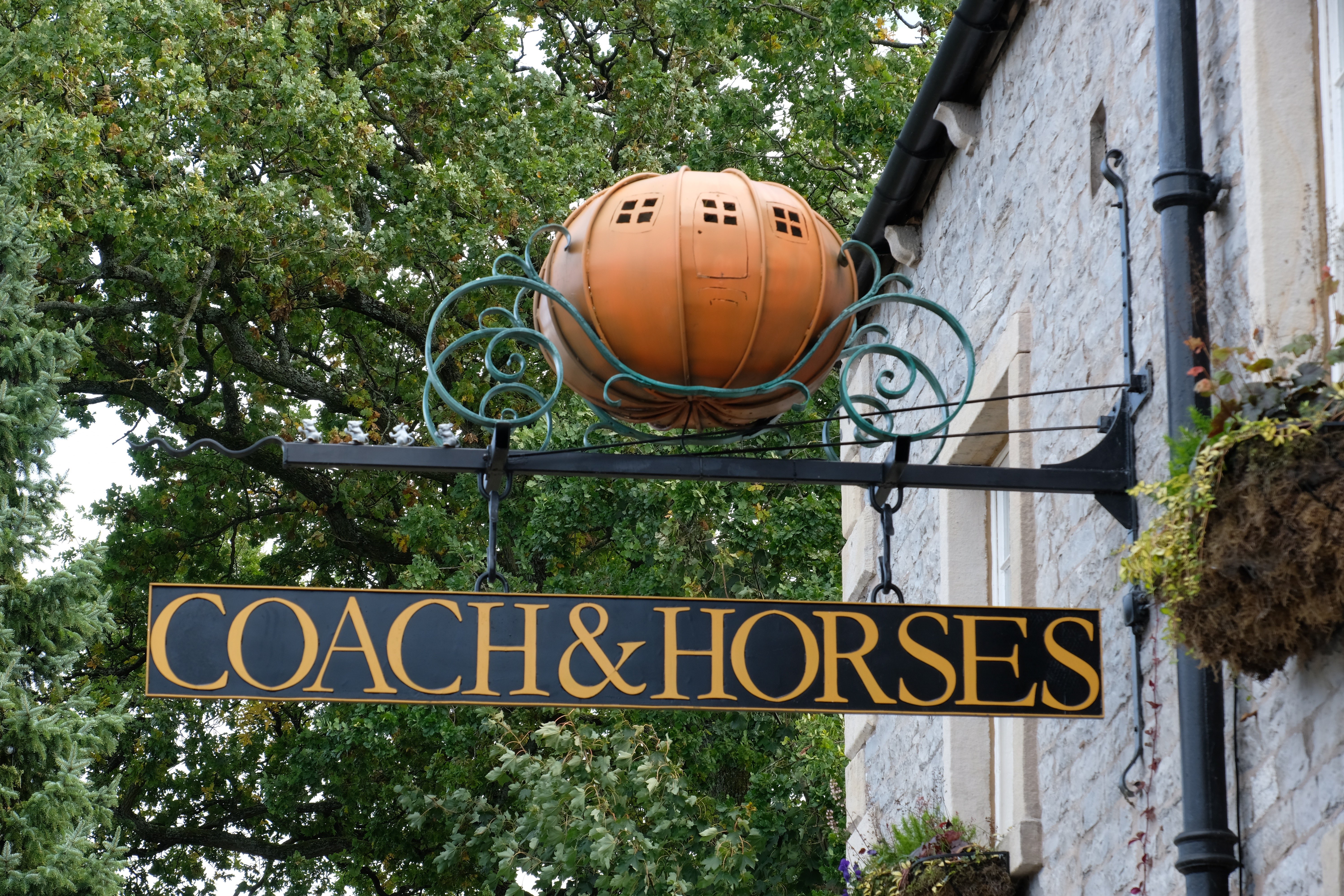 Coach & Horses-泳池