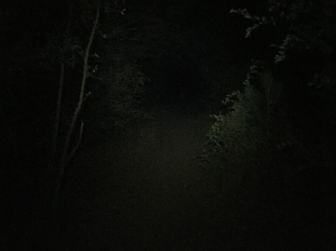 William Heise County Park景点图片