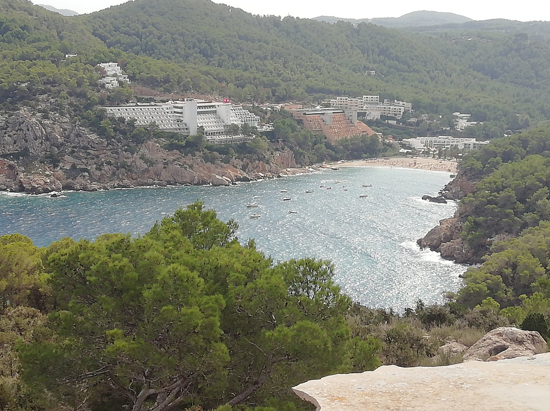 Torres des Molar-Port de Sant Miguel必去景点