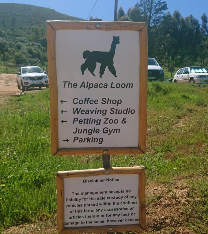 The Alpaca Loom Coffee Shop & Weaving Studio景点图片