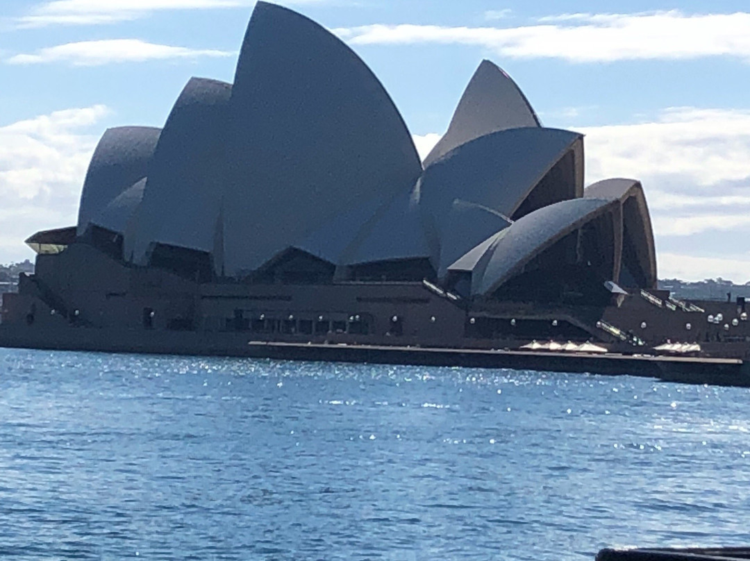 Sydney Whale Watching景点图片