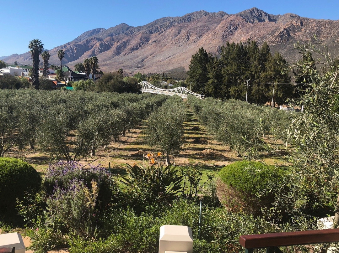 Montagu Vines Guesthouse主图