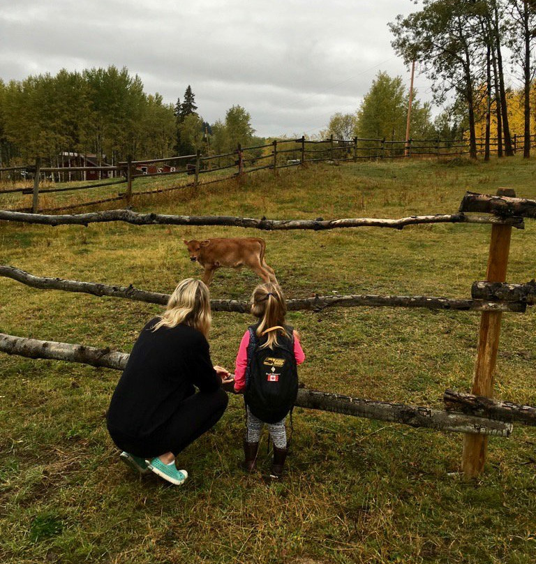 Montana Hill Guest Ranch主图