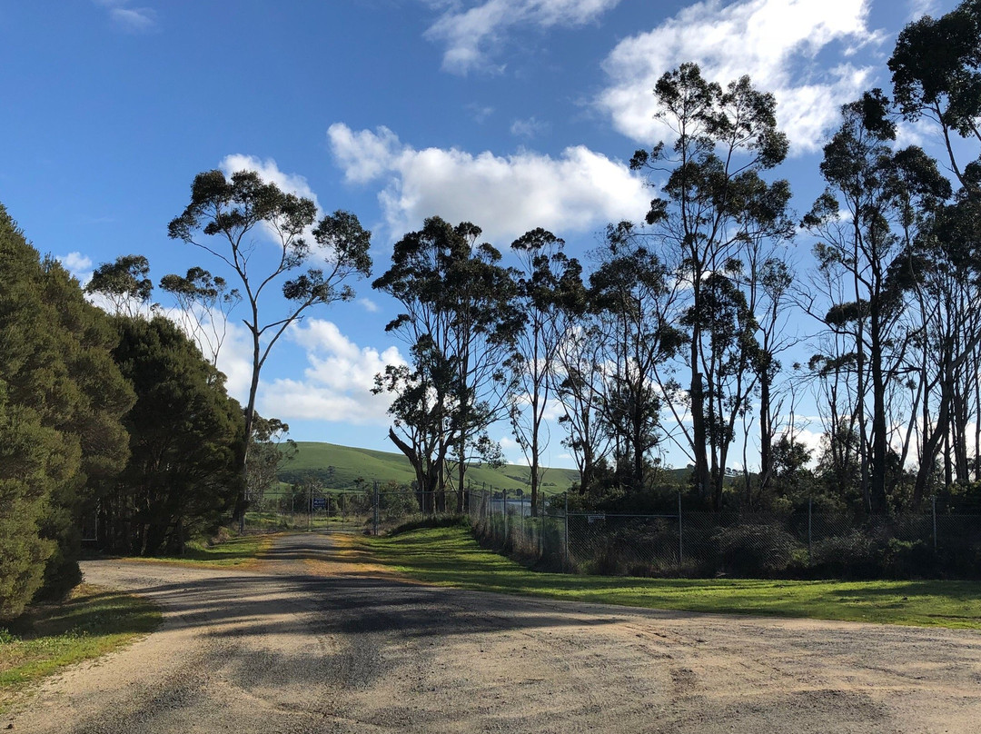 Candowie Reservoir-Almurta必去景点