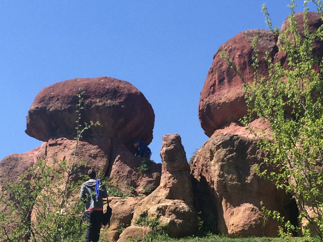 Red Giant Stone Mushrooms景点图片