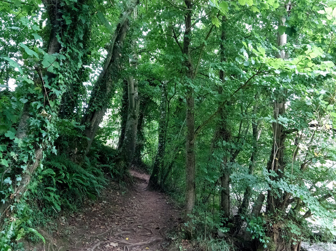 Dart River-得文郡必去景点