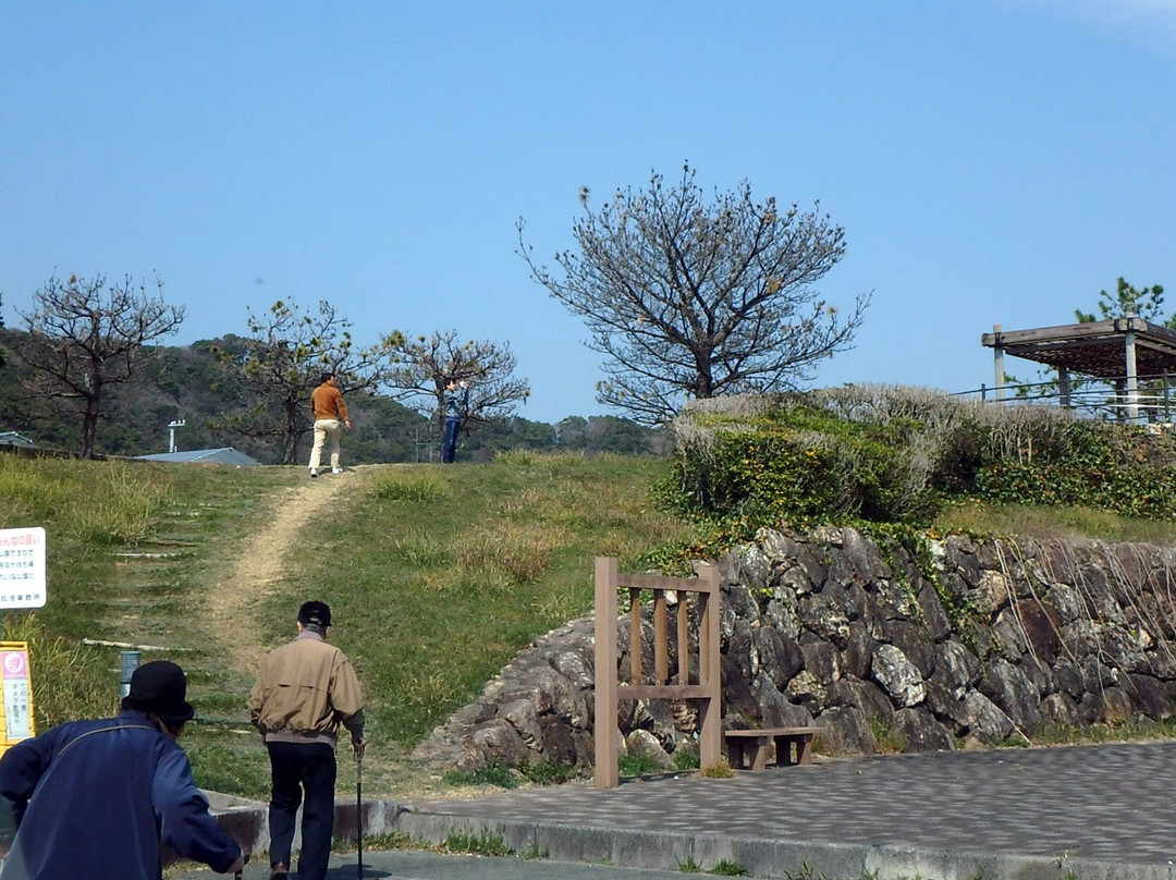 Kochi Ike Park景点图片