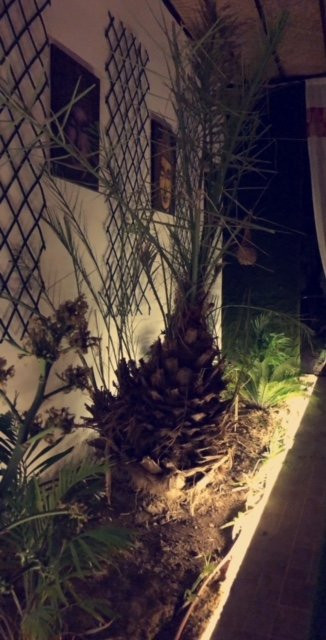 Villa Uomo Men Hair Studio & Spa-Sanad必去景点