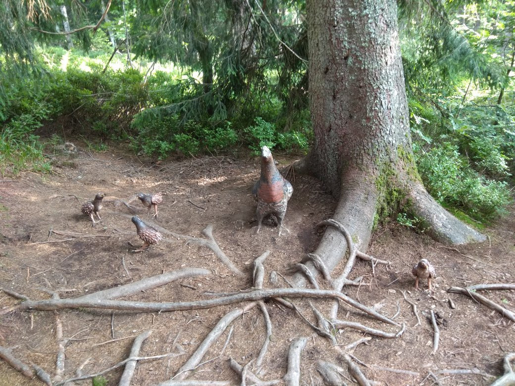 The Little Folk's Trail