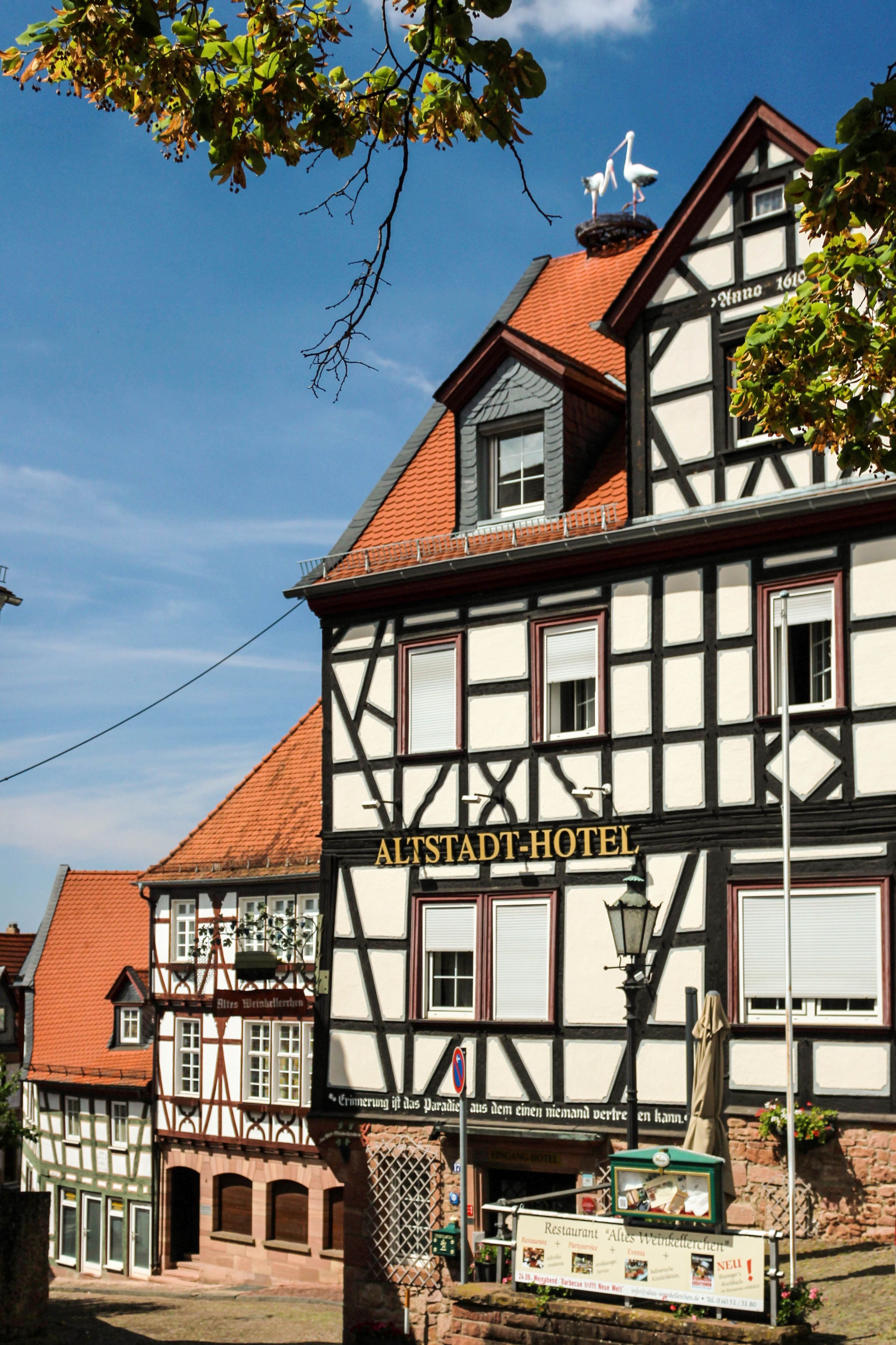 Altstadt-Hotel Gelnhausen-浴室