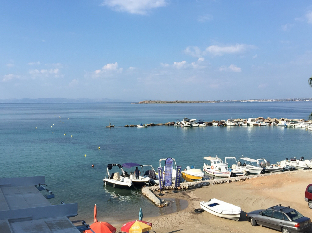 Hotel Alexandra主图