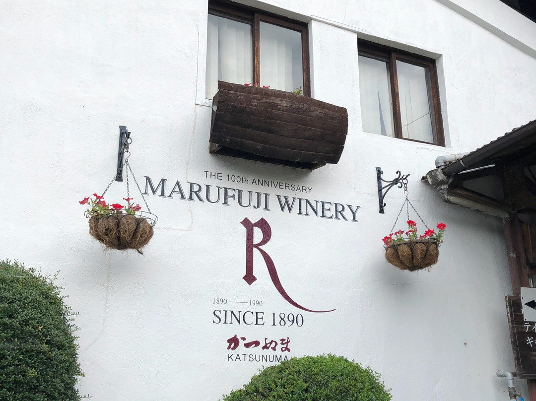Marufuji Winery景点图片